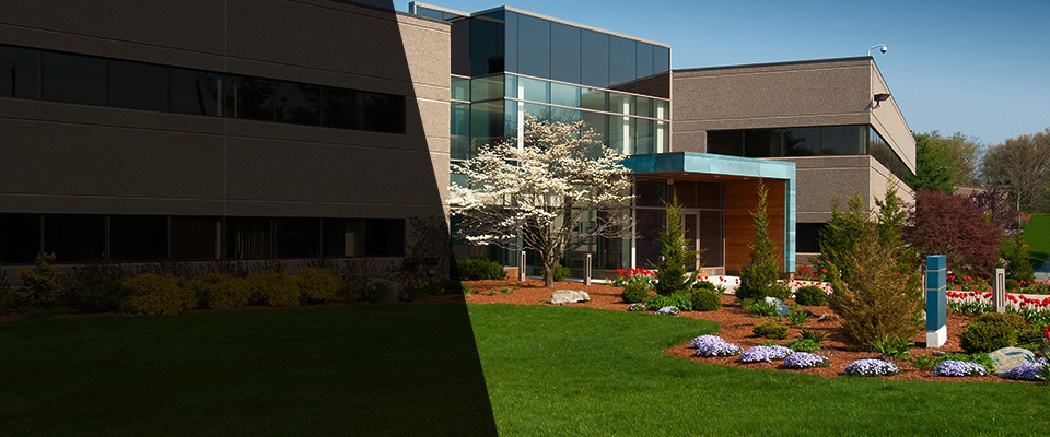 Suisun City Landscapers