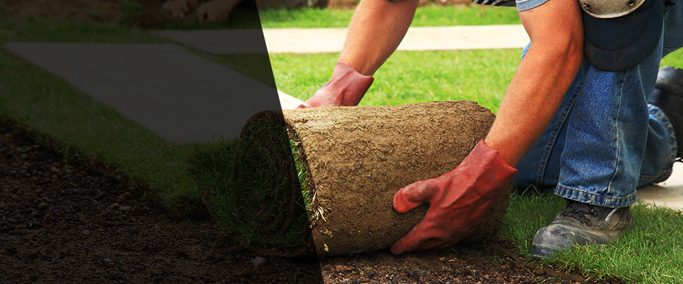 Suisun City Landscapers